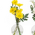 Daisy in Glass Vase small
