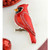 Cardinal Pin