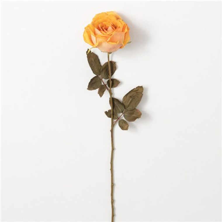 Gold Calista Rose Stem 4.5" L x 4.5"W x26"H
