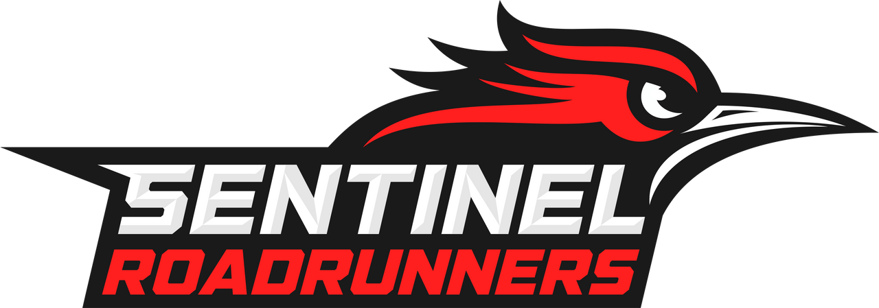 Sentinel Roadrunners