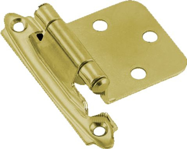 Single Variable Overlay Hinge Bright Brass Self Closing with Screws