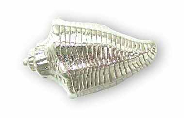 Conch Shell Knob 41 mm  L-PN0420-SN-C