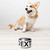 wills1mulisha Personalized Pet Bowl