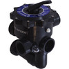 Multiport Valve, Praher SM2-HPXR50, 2", w/Hayward Plumbing