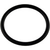 O-Ring, Pentair L79BL Cleaner, Lower Bearing