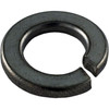 Lock Washer, Pentair Sta-Rite, 3/8"