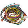 Wire Harness, Pentair Max-E-Therm/MasterTemp, 115v/230v