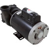 Pump, Aqua Flo XP2e, 4.0hp US Motor, 230v, 1-Speed, 56fr, 2"