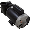 Pump, Aqua Flo XP2e, 2.5hp Century, 230v, 2-Speed, 56fr, 2"