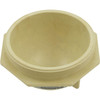 Tank Lid, Pentair PacFab Triton II, 6", Tan