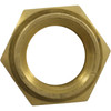 Insert Nut, Anthony Apollo DE Filter Shaft, 0.5", Brass