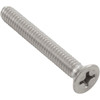 Screw, Main Drain Grate, Pentair StarGuard, Quantity 2