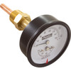 Temperature & Pressure Gauge Kit, Raypak Hydronic Heaters