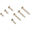 Screw, Triodyne Main Drain, Anti Hair Snare, Quantity 14