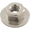 Hex Nut, Hayward S240, with Washer