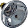 Repl Bulb, Hayward, StarLite/Duralite/AstroLite, 12v, 100w