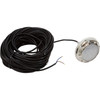 PAL EvenGlow Nicheless Light, 12vdc, Cool White, 150ft Cable