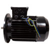 Motor, Hayward, 5.5 Horsepower, 1 Speed, HCP55