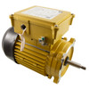 Motor, Hayward Super Pump, 1.5 HP, C FLG, TEFC