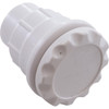 Air Ctrl, Waterway, Gunite, 1-5/16"hs, 1"s Scal, White