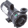 Pump, WW Hi-Flo, 3.0hp, 230v, 2-Speed, 48fr, 2", OEM