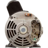 Pump, WW E-Series, 2.0hp, 230v, 2-Speed, 48fr, 1-1/2", OEM