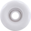 Jet Intl, BWG/PentairLuxury Micro, 2-1/2"fd, Dir, Txt Scal, Wht