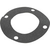 Gasket, Pentair C-Series, Flange