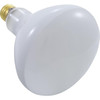 Replacement Bulb, Flood Lamp, 300w, 115v