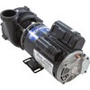 Pump, WW Ex2, 4.0SPL, 230v, 2-Spd, 48fr, 2", OEM