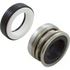 Shaft Seal, Pentair EQ/C Series, All Models