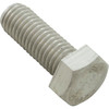 Screw, Pentair EQ, Hair & Lint Strainer, Hex, 5/8"-11 x 1-3/4"