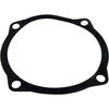 Gasket, Waterco Hydro 5000, Seal Plate, 6-5/8"ID, 7-5/8"OD