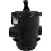 Multiport Valve, Pentair Tagelus TA 100D, 2", 6 Position