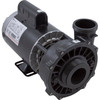 Pump, WW Exec, 2.0hp, 230v, 2-Speed, 56fr, 2-1/2" x 2", OEM