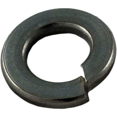 Lock Washer, Pentair Sta-Rite, 5/16"