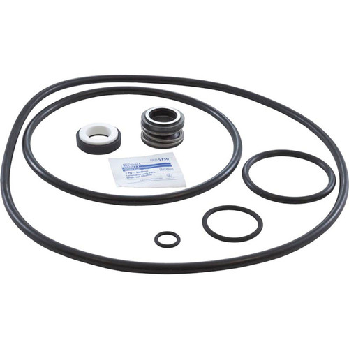 Pump Rebuild Kit, StaRite DuraGlasII/MaxiGlasII, w/Viton Seal