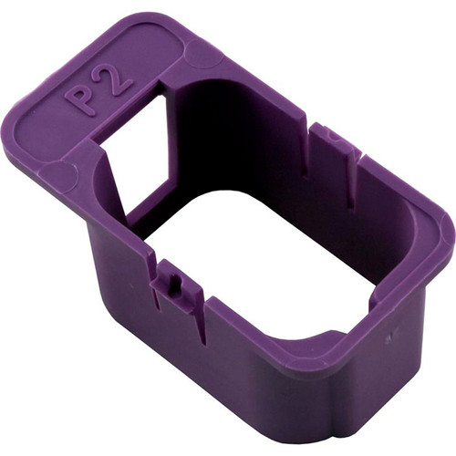 Keying Enclosure, HC-P2-Violet, Pump 2 (120/240)