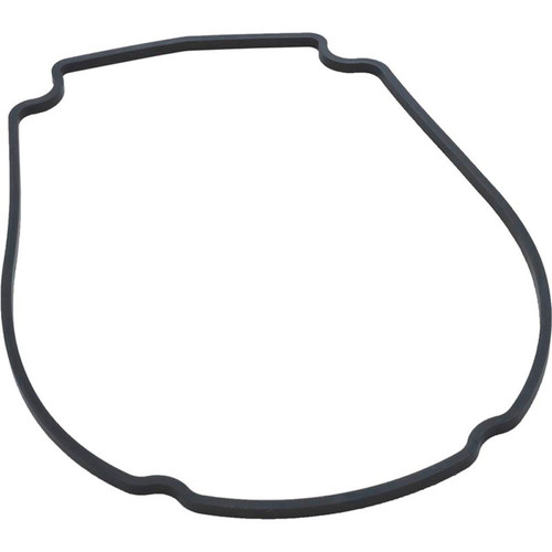 Gasket, Waterway Econo Flo/Champion, Faceplate