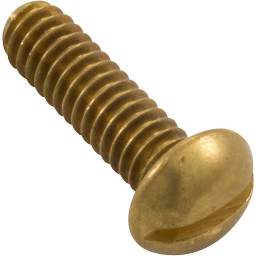 Screw, 1/4"-20 x 1", Pan, Slot, SS