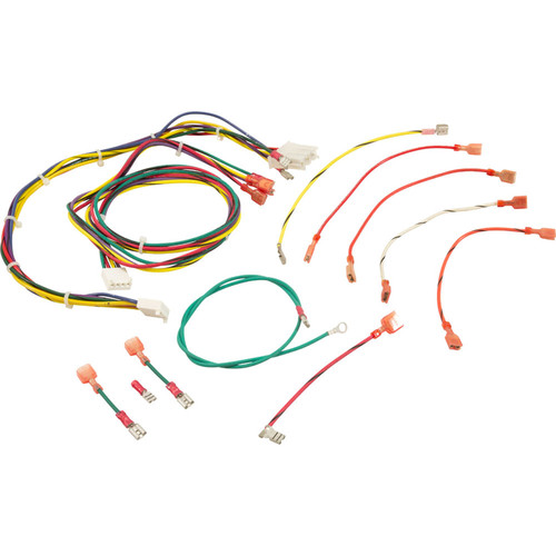 Wire Harness, Raypak RP2100, R185-R405, IID