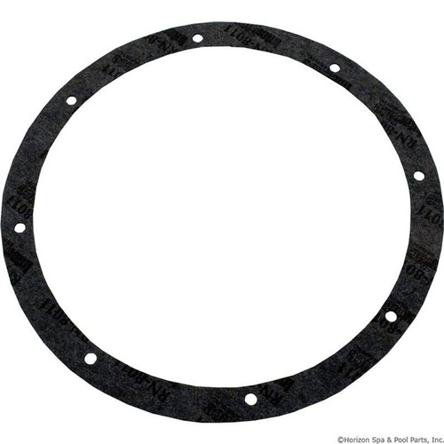 Light Niche Gasket Kit, Pentair Amerlite, 8-Hole, Vinyl