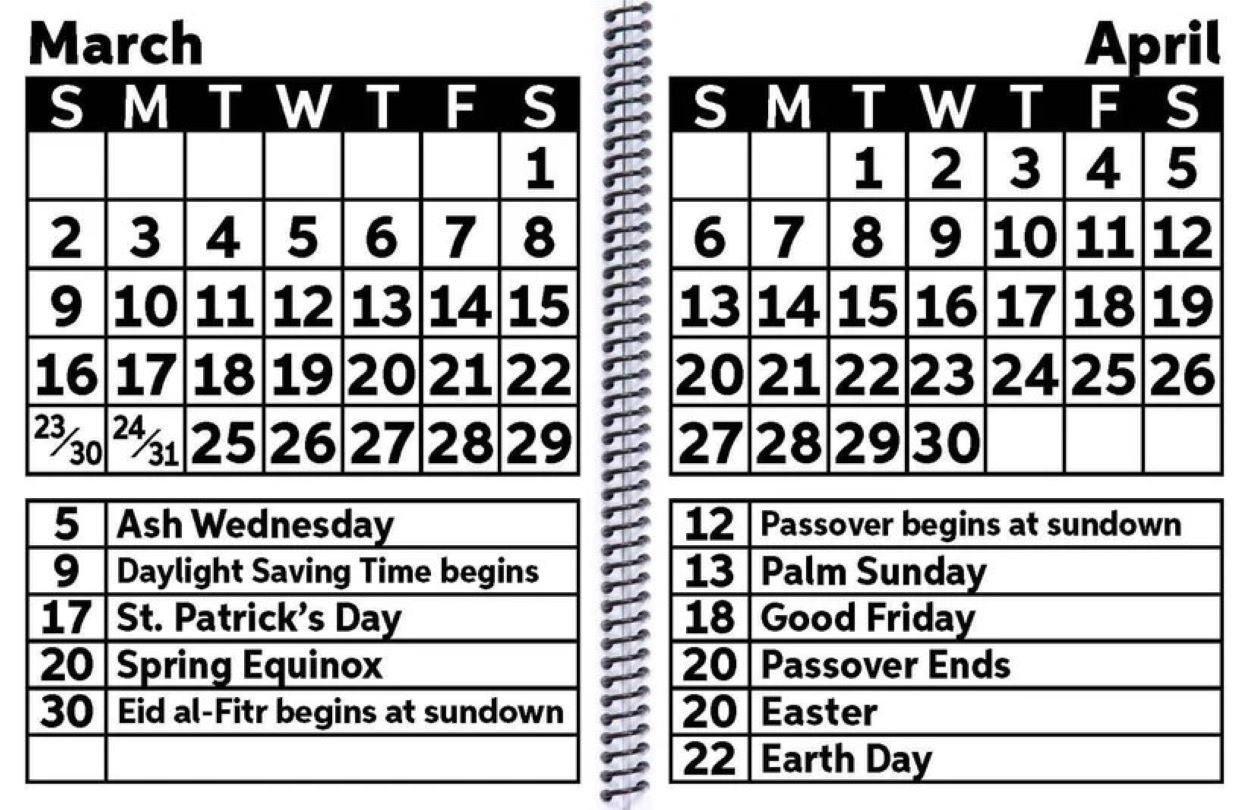 EZ2See® Large Print Appointment Book