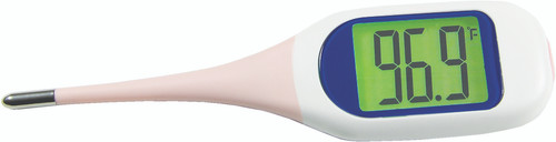 Thermometer Talking Indoor/Outdoor – The Shop at The Sight Center