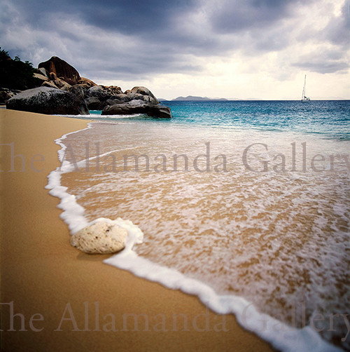 Guavaberry, Sopring Bay pro texture Guavaberry, Sopring Bay pro texture