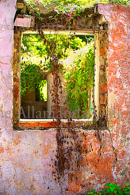 Main Street Window pro texture Main Street Window pro texture