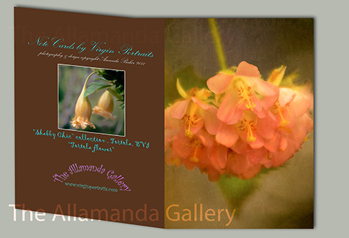 Flower card Flower card