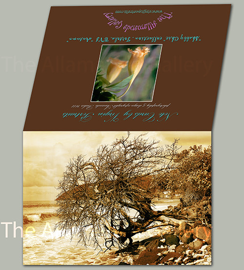 Autumn Card Autumn Card