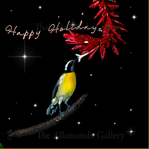 Happy Holiday's "sipping Quit" Happy Holiday's "sipping Quit"