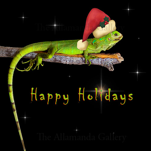 Happy Holidays, Santa Claus Iguana Happy Holidays, Santa Claus Iguana
